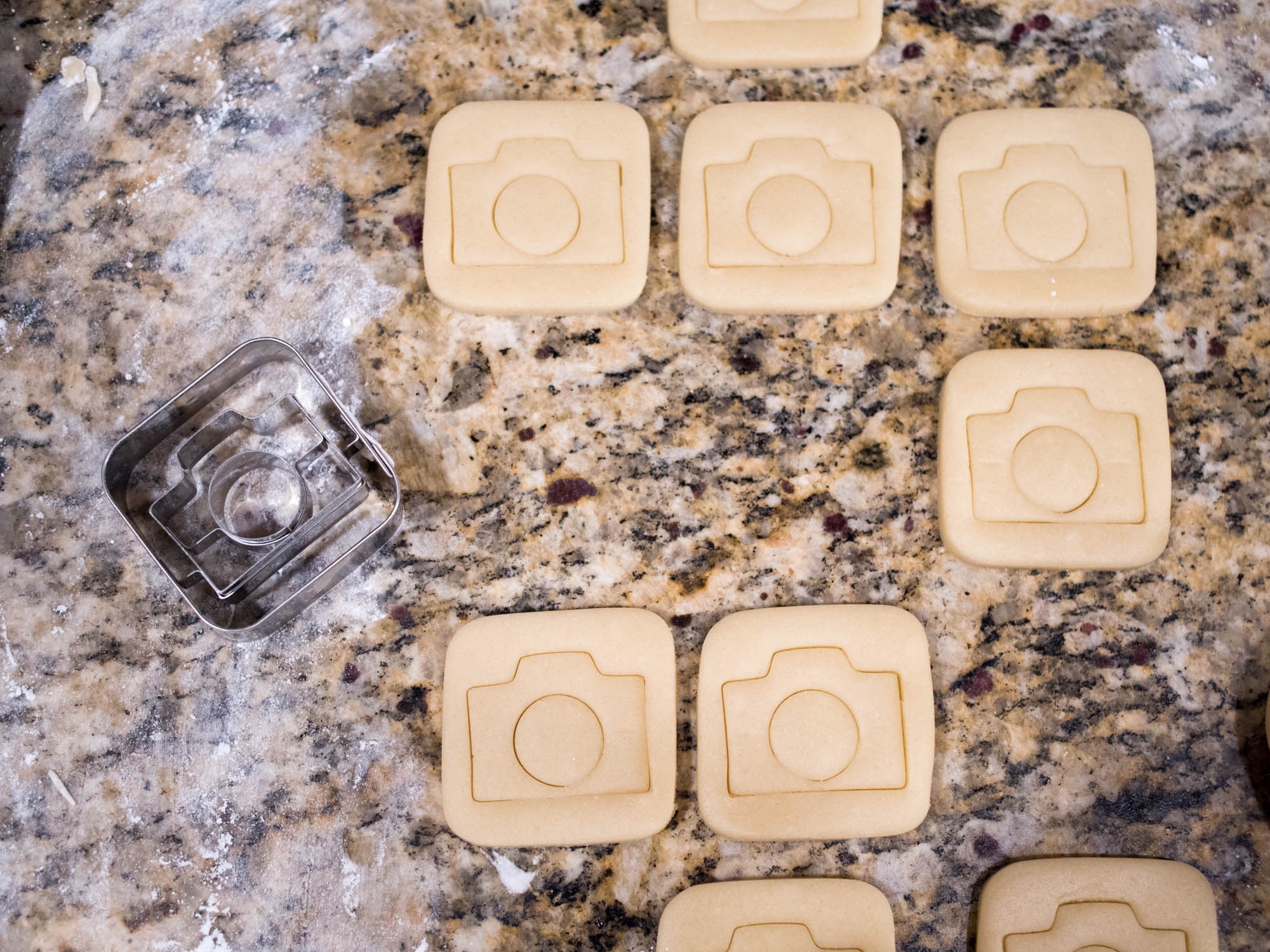 Iced Sugar Cookies