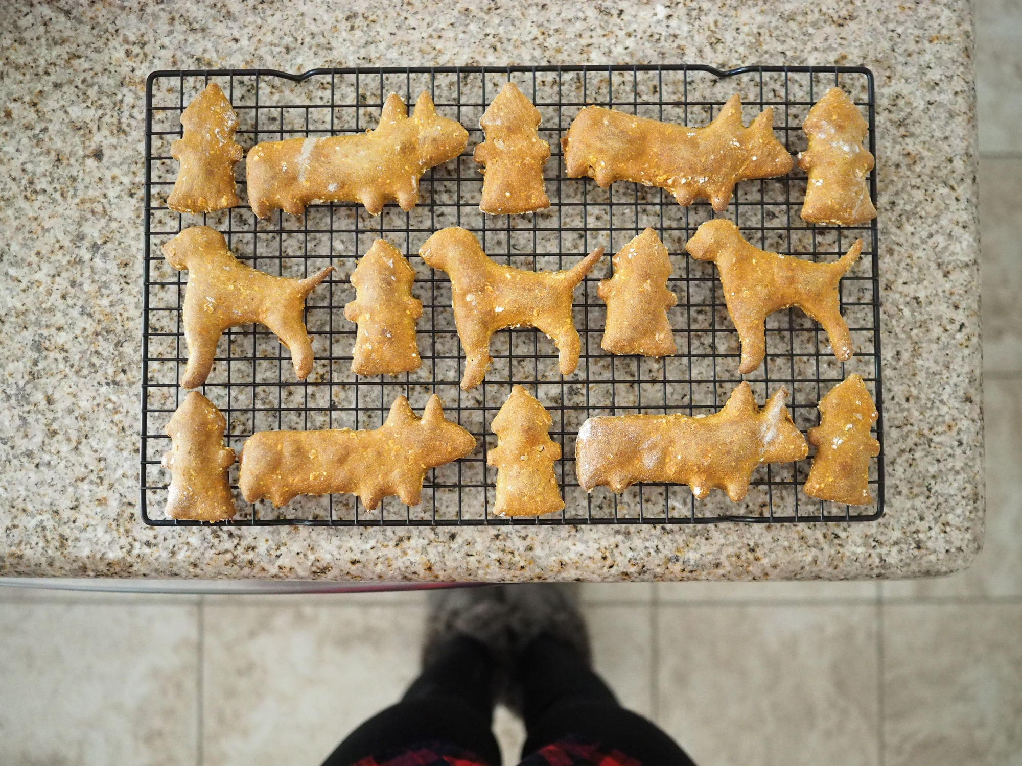 Peanut Butter Pumpkin Puppy Treats