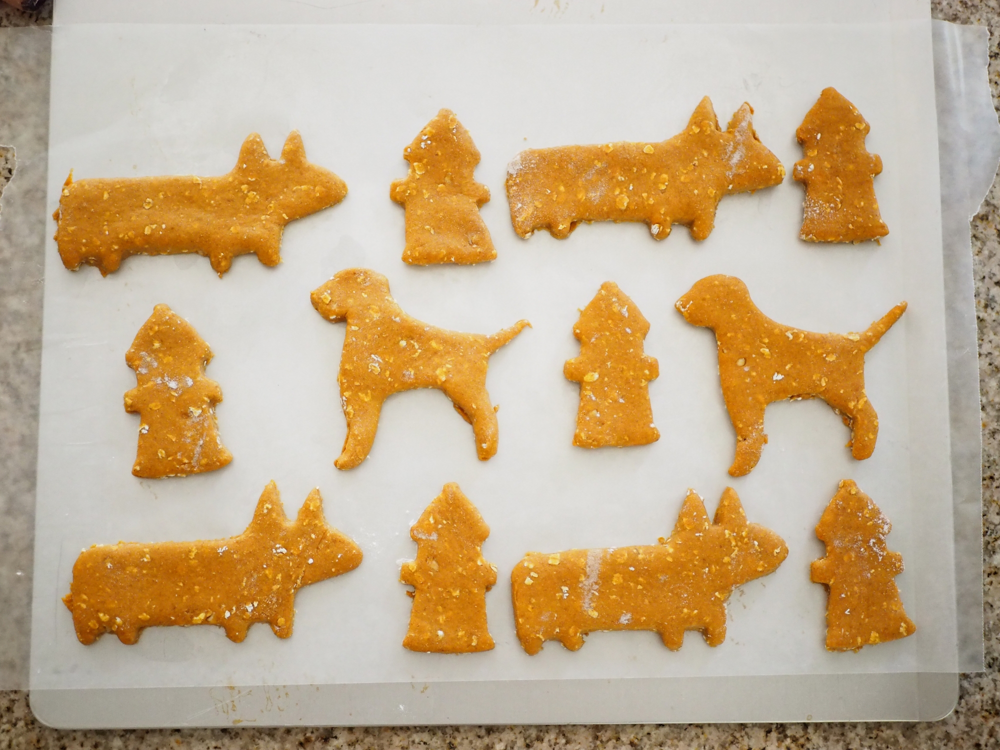 Peanut Butter Pumpkin Puppy Treats