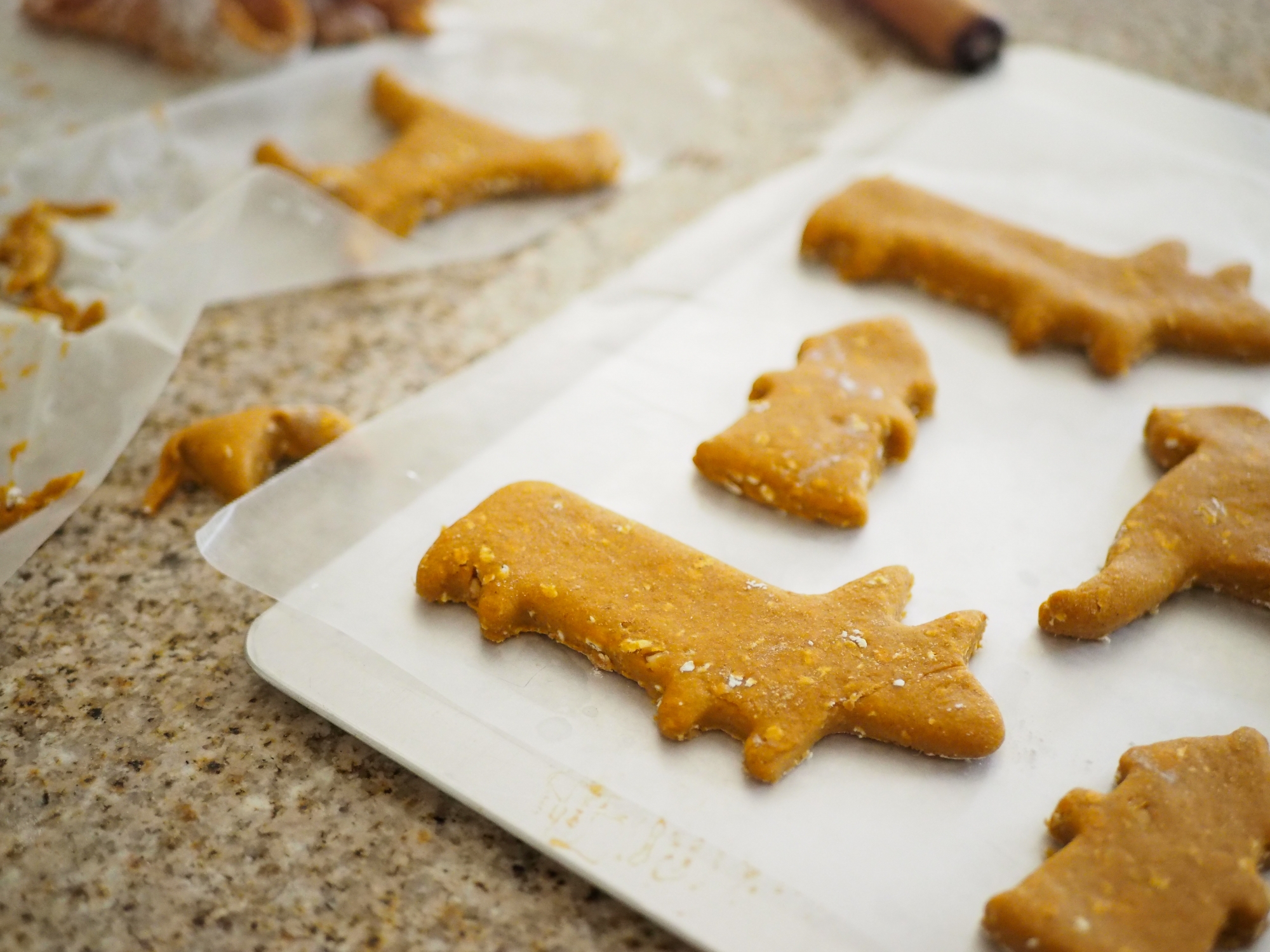 Peanut Butter Pumpkin Puppy Treats