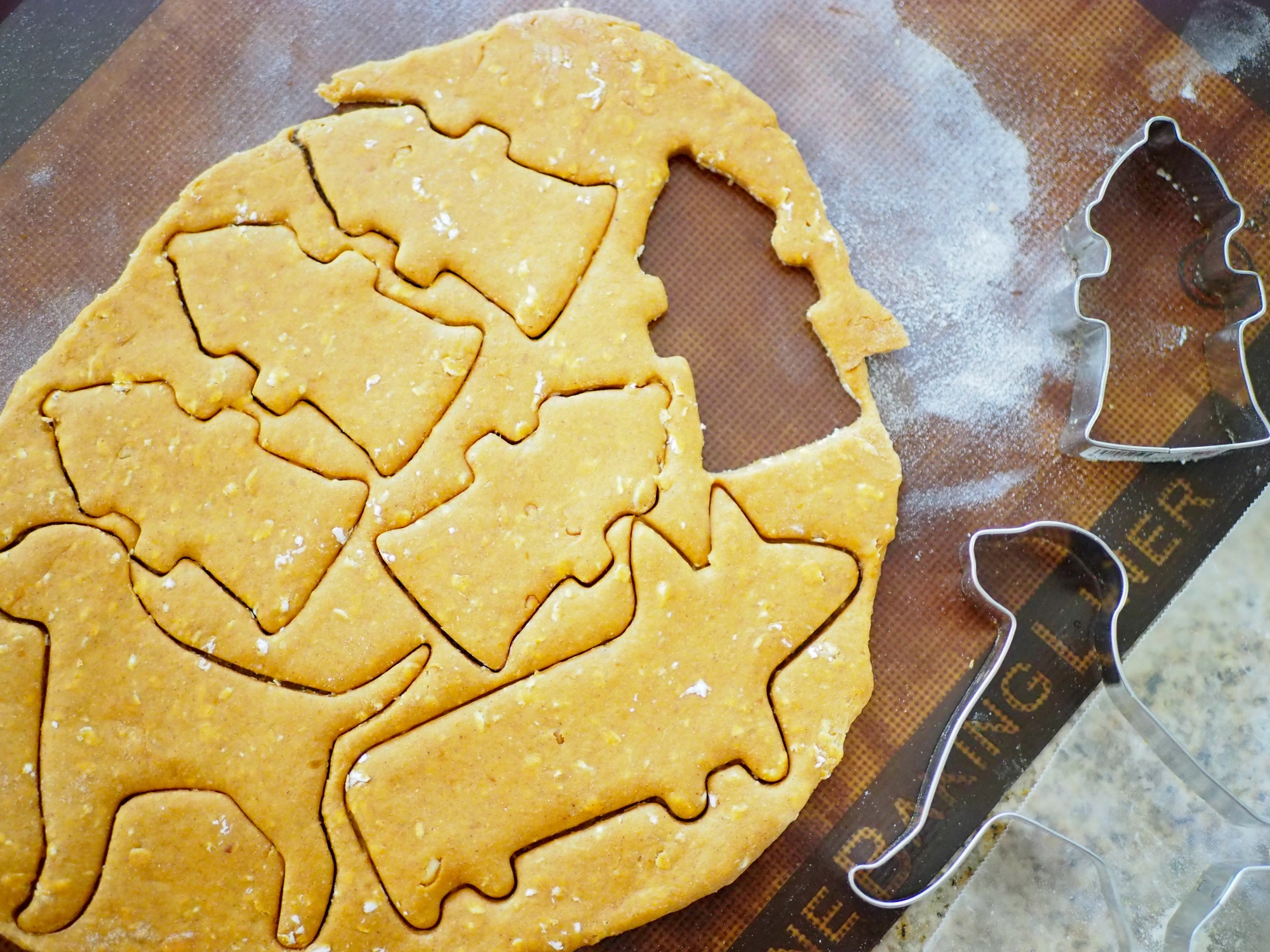 Peanut Butter Pumpkin Puppy Treats