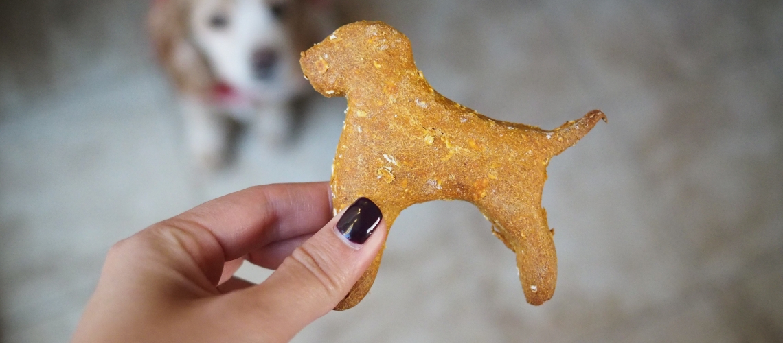 Peanut Butter Pumpkin Dog Treats