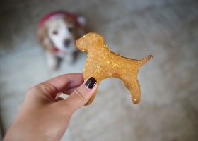 Peanut Butter Pumpkin Dog Treats
