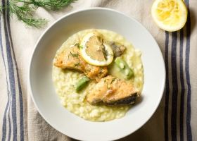Creamy Lemon Salmon Collar