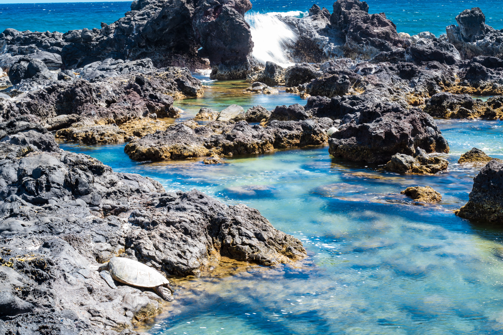 Ho'okipa Beach Park & Lookout