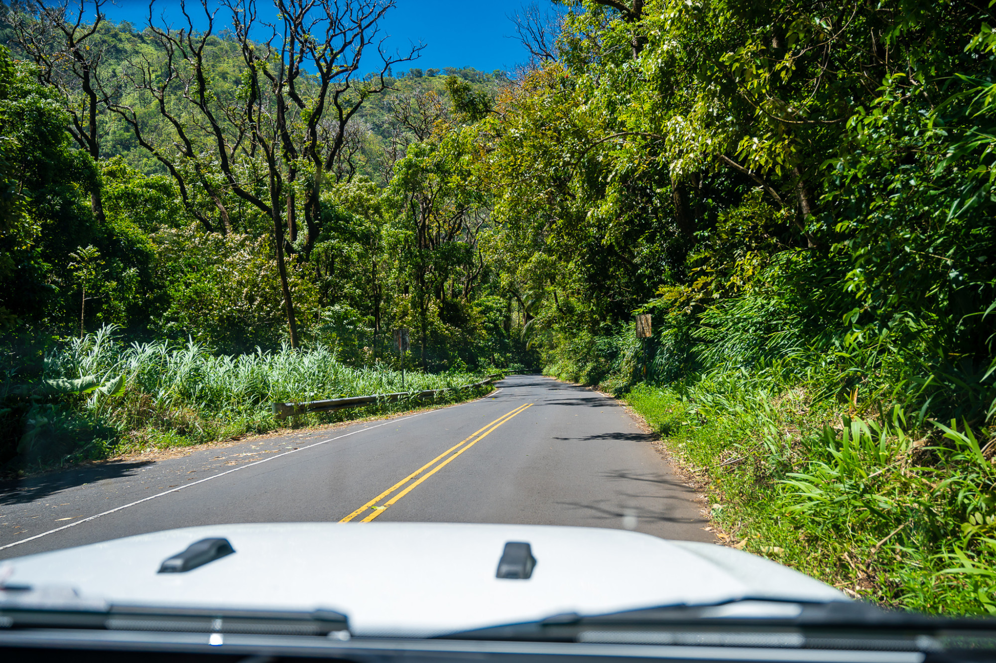 Road to Hana