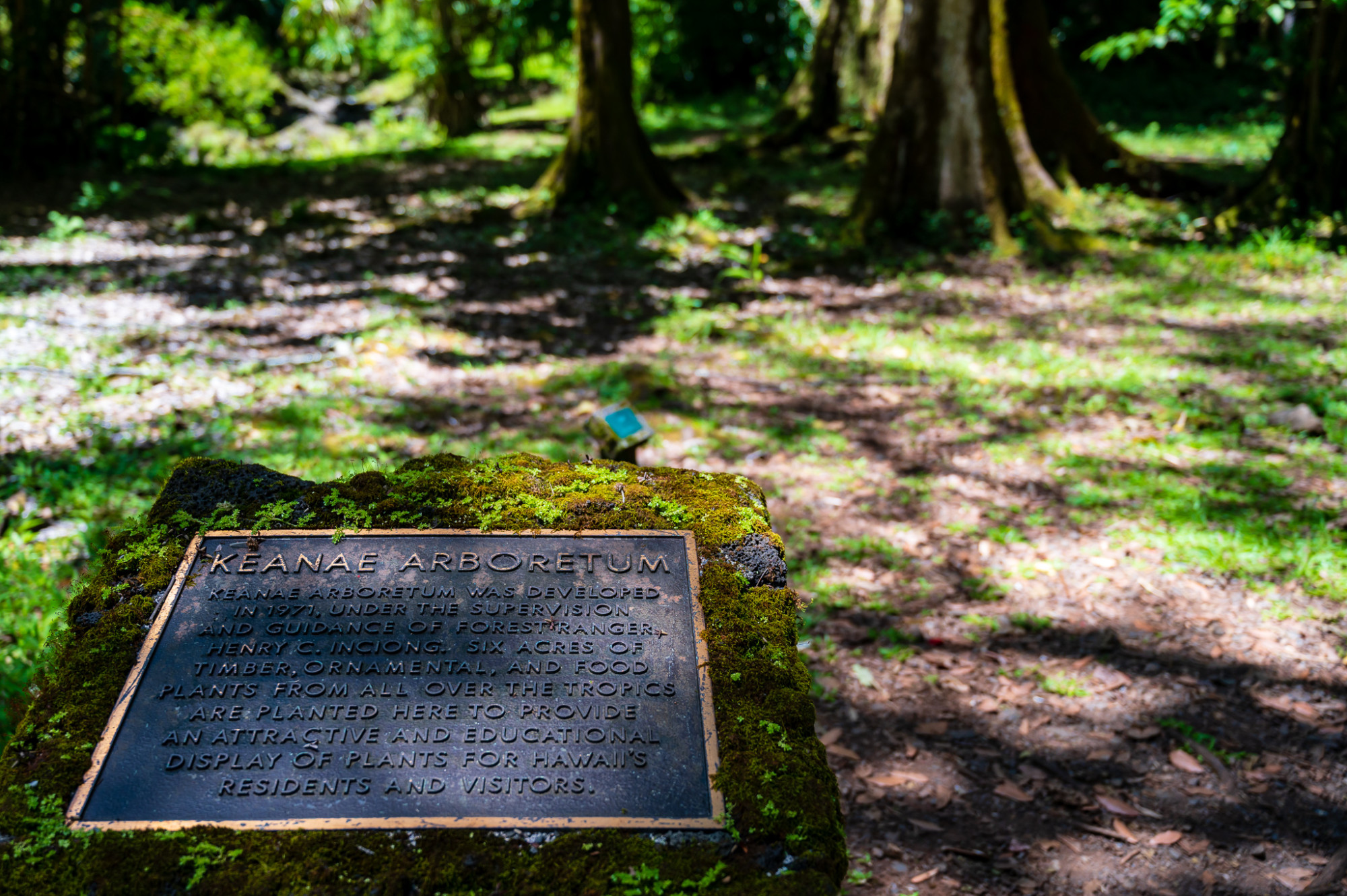 Ke'anae Arboretum sign