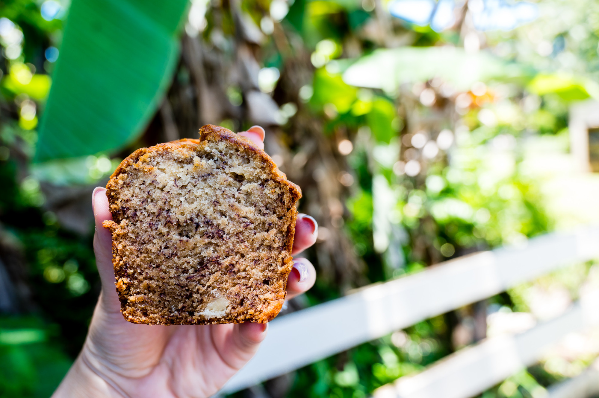 Slice of banana bread from Halfway to Hana on the Road to Hana