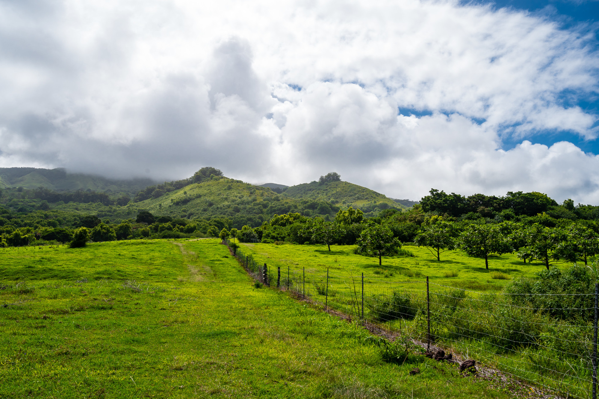 Scenic back side of the Road to Hana